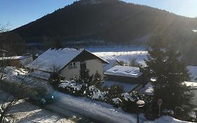 App Mit Seeblick Am Hillebachsee In Winterberg Ot